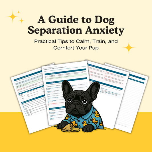 A Guide to Dog Separation Anxiety - cutie.dog