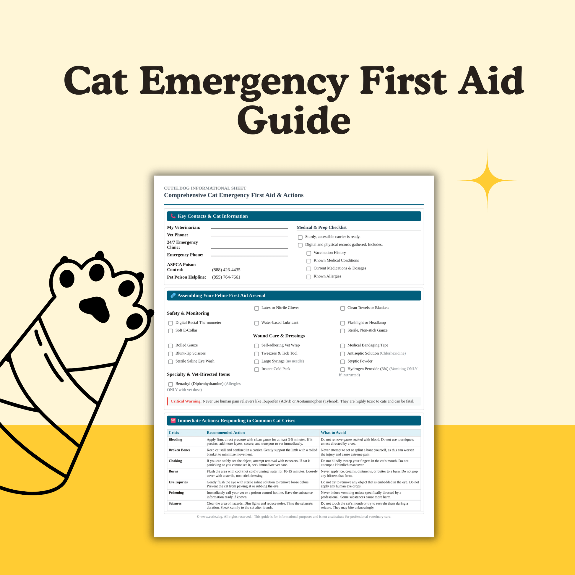 Cat Emergency First Aid Guide - cutie.dog