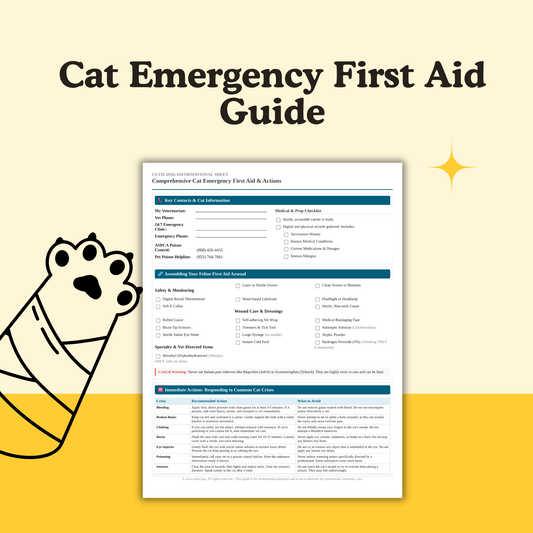 Cat Emergency First Aid Guide - cutie.dog
