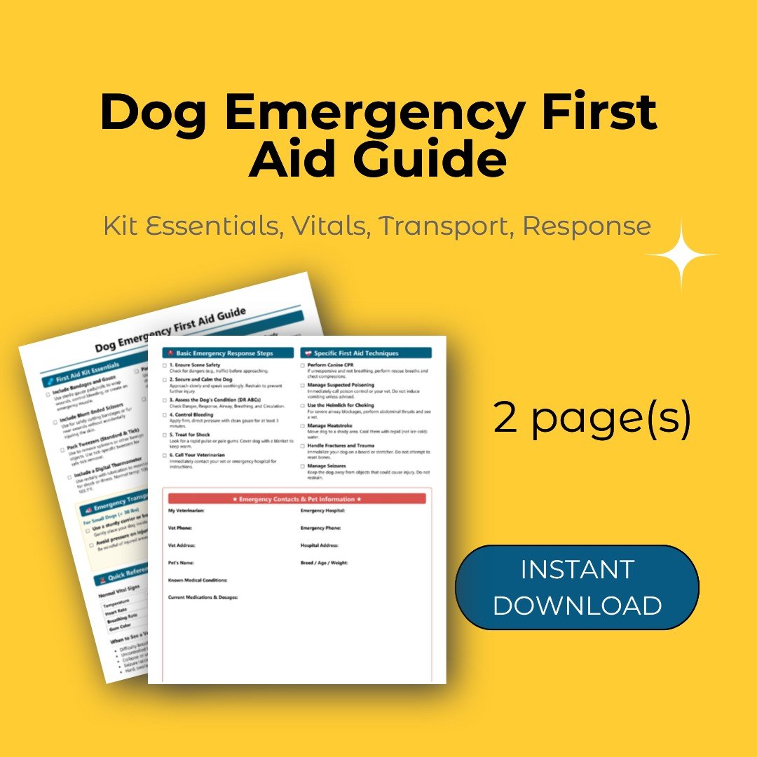 Dog Emergency First Aid Guide - cutie.dog
