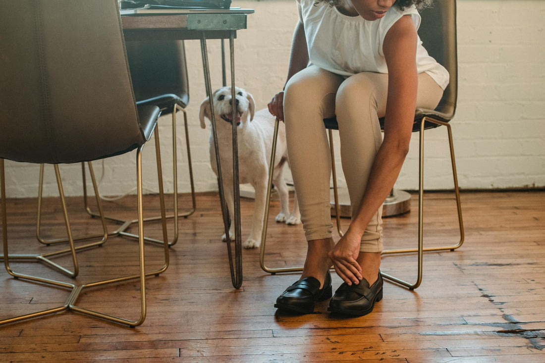 3 Simple Steps for Disaster Preparedness for Your Pet - cutie.dog