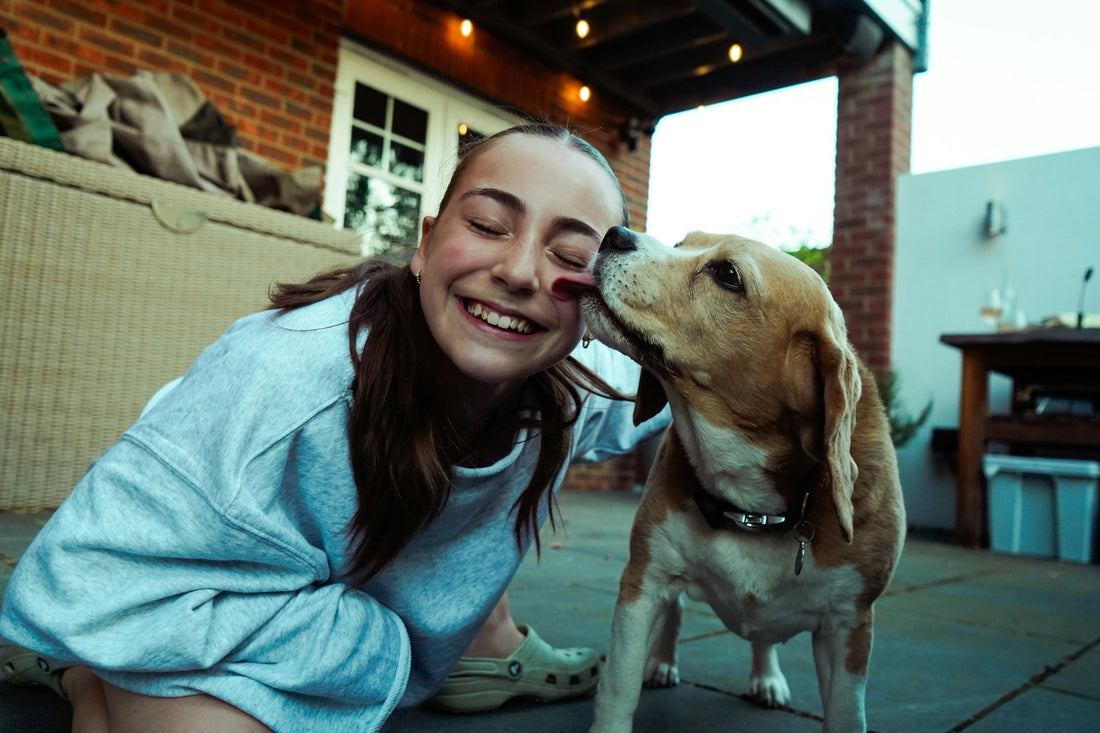 A Guide Dog Separation Anxiety - cutie.dog